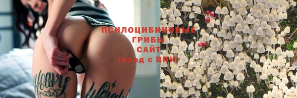 кокс Армянск