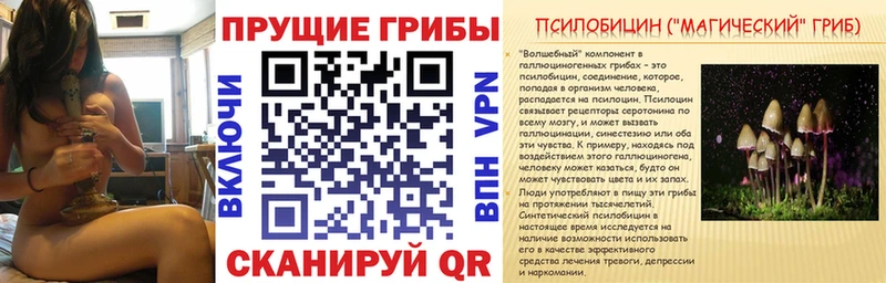 Галлюциногенные грибы ЛСД купить закладку Нязепетровск